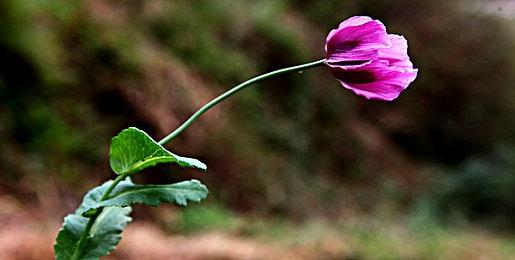 粉丝自制虚幻5《上古卷轴5》风舵城场景